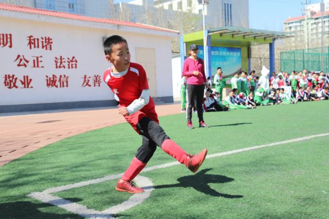 香农·夏普：布朗发声越多绿军就越想送走他 他明白后果但不在乎